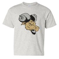 Heavy Cotton™ Youth T-Shirt Thumbnail