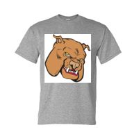 DryBlend® T-Shirt Thumbnail