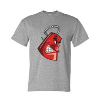DryBlend® T-Shirt Thumbnail