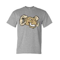 DryBlend® T-Shirt Thumbnail