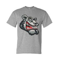 DryBlend® T-Shirt Thumbnail