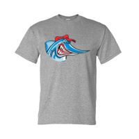 DryBlend® T-Shirt Thumbnail