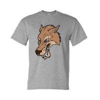 DryBlend® T-Shirt Thumbnail